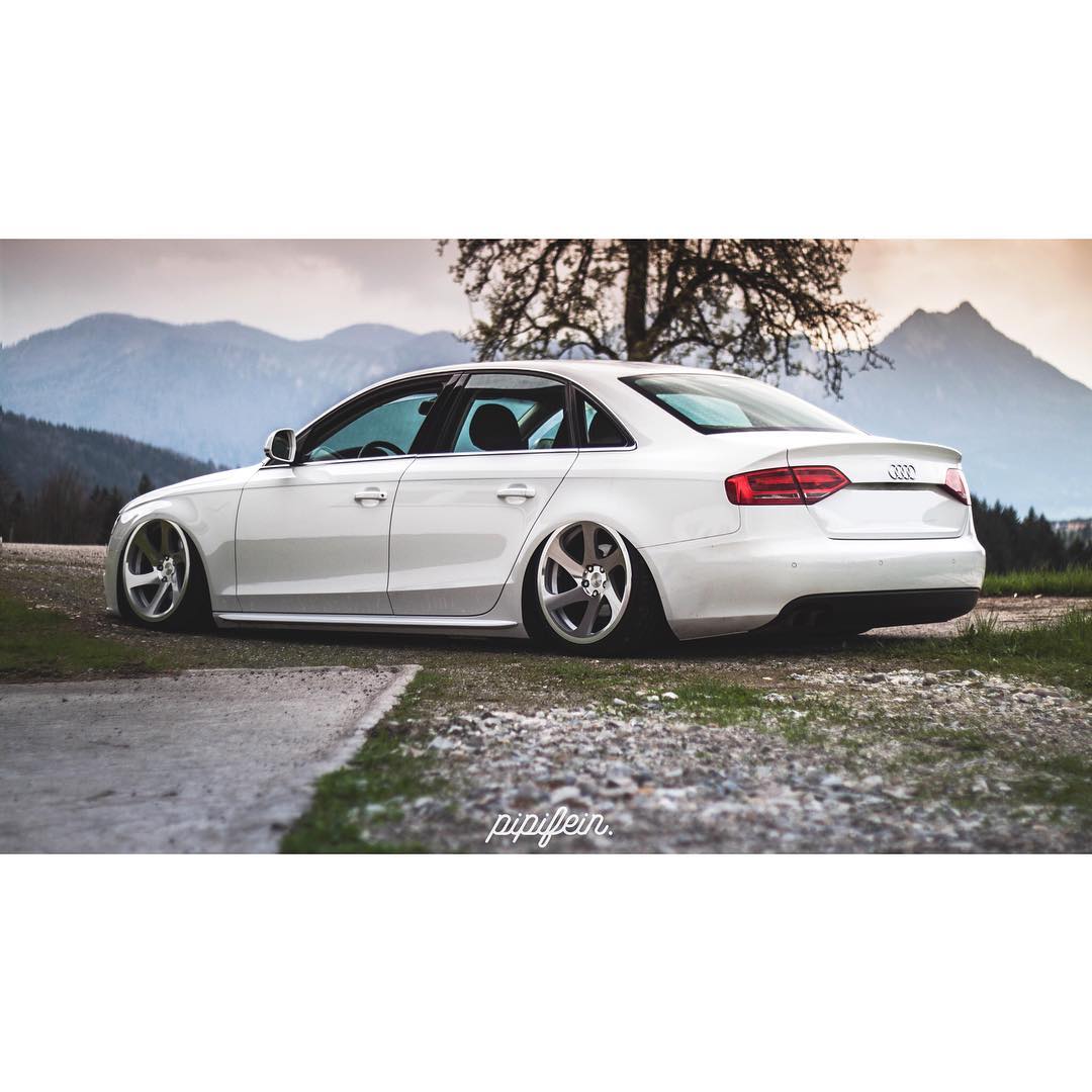@pipifein Audi A4 @pipifein Audi A4
