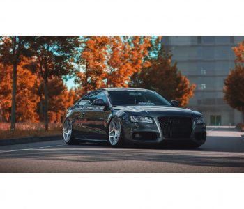 3SDM 0.08