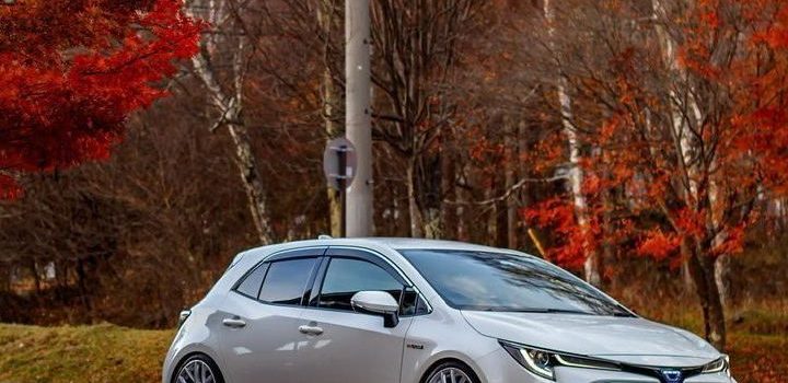 3SDM 0 01 x Toyota Coroll