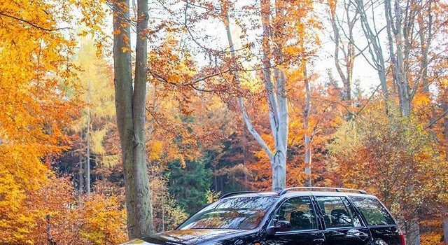 3SDM 0.06 x VW Golf Variant | DAayJX4xjxF