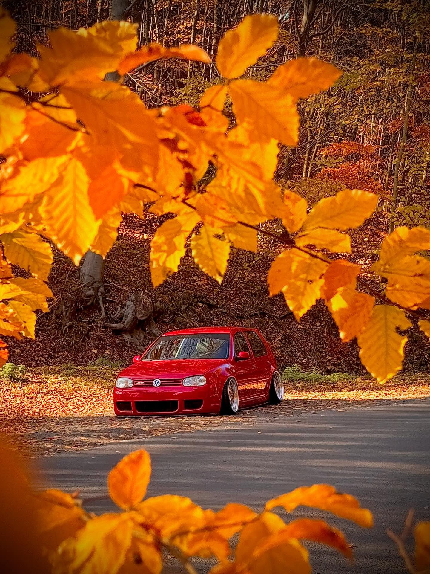my r32 and color autumn | DQudkSLjFqg